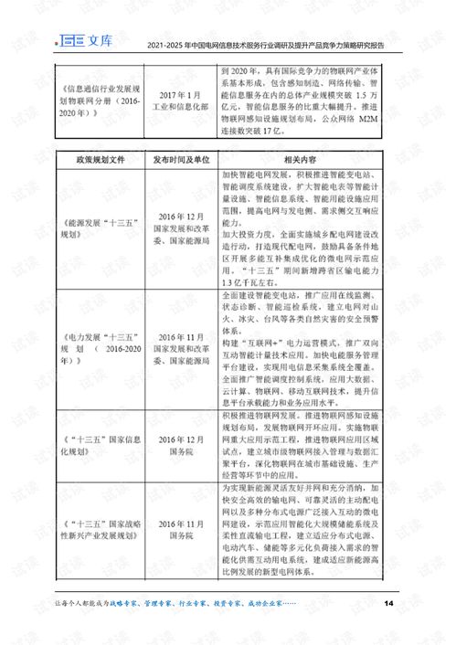 2021-2025年中国电网信息技术服务行业调研及产品竞争力提升策略